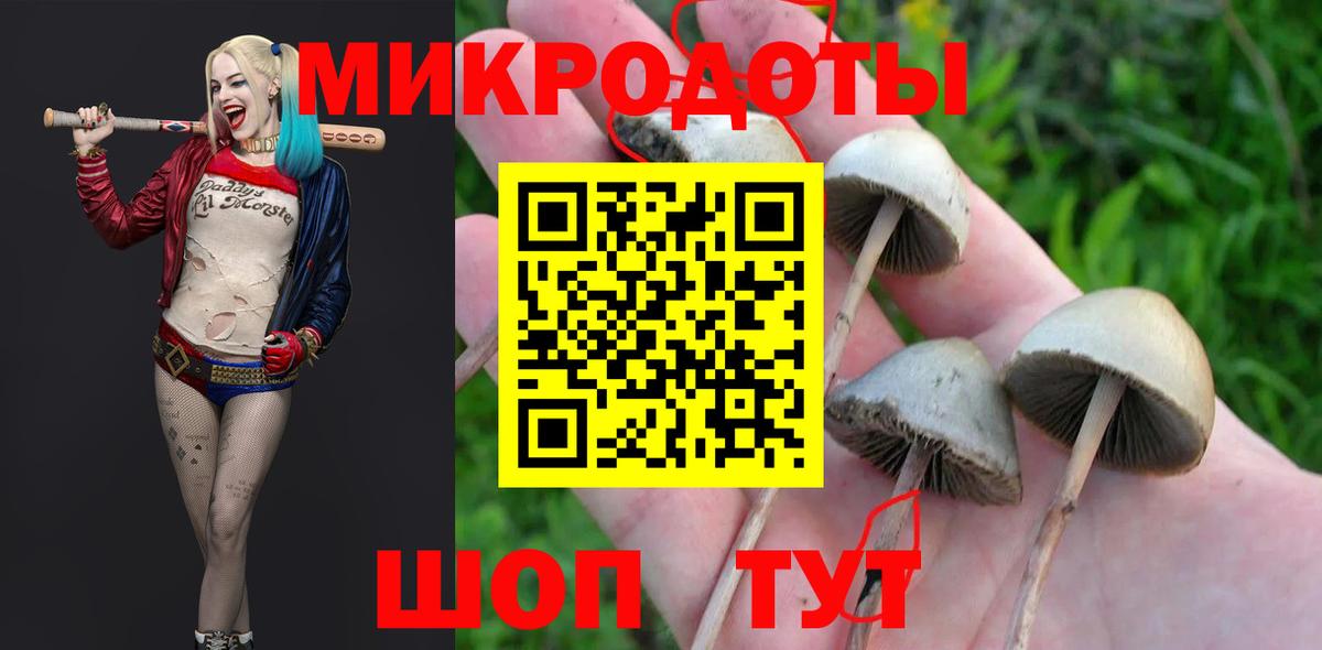 Галлюциногенные грибы MAGIC MUSHROOMS  Вход с VPN  Королёв  Псилоцибиновые грибы мицелий 